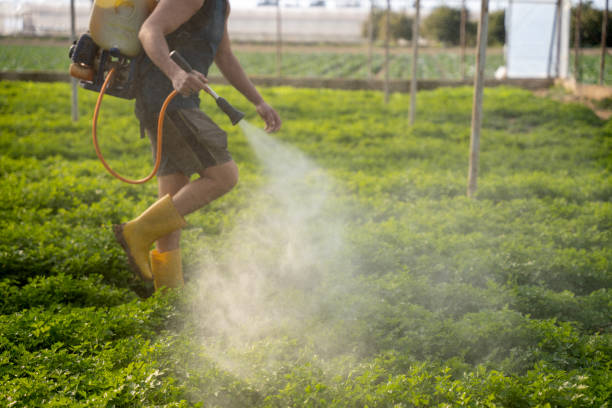 Best Residential Pest Control  in Elk Creek, KY