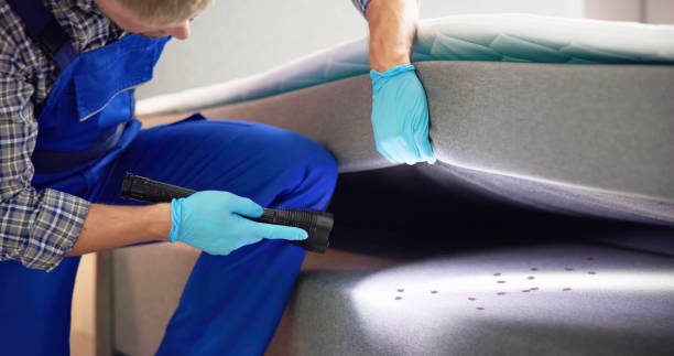 Best Best Pest Control Companies  in Elk Creek, KY