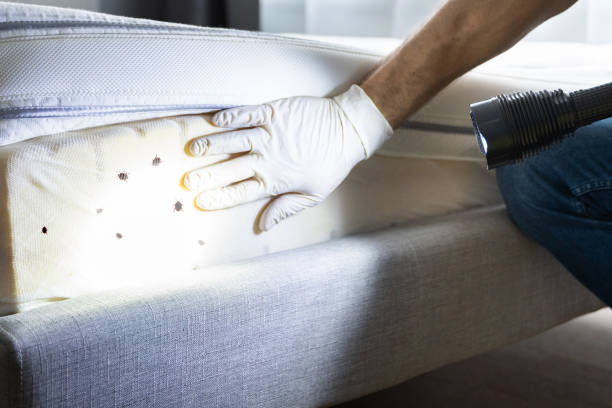 Best Commercial Pest Control Services  in Elk Creek, KY