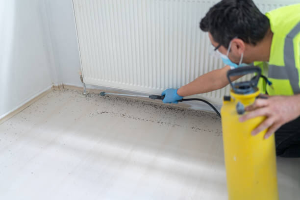 Best Affordable Pest Control Services  in Elk Creek, KY